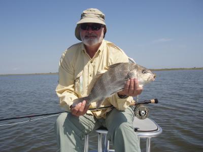 Bill Strike With Black Drum on Fly